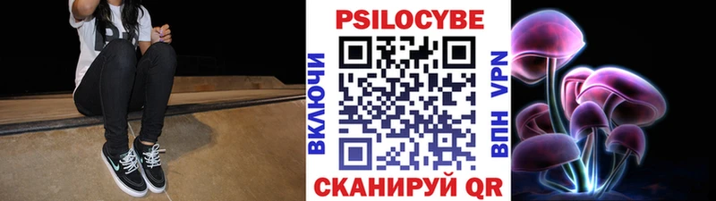 Купить закладки  Суздаль  Псилоцибиновые грибы ЛСД 