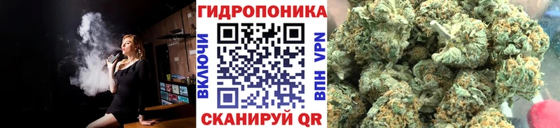 Бошки Шишки SATIVA & INDICA  Купить где  Суздаль 